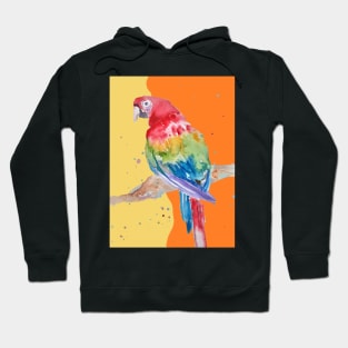 Parrot Watercolor Painting Macaw - Yellow Orange Hoodie